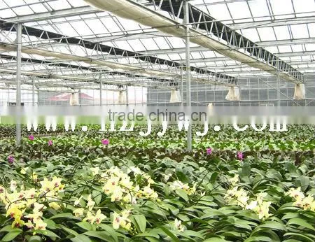 Multi-span greenhouse