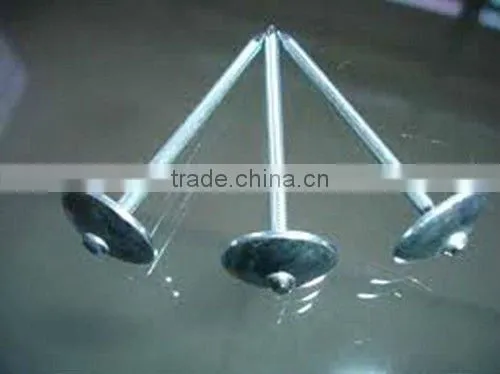 Salable Umbrella Head Roofing nails Best Quality and Professional Factory
