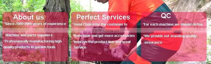 Chinese Chain saw Single starter For 38CC Chainsaw