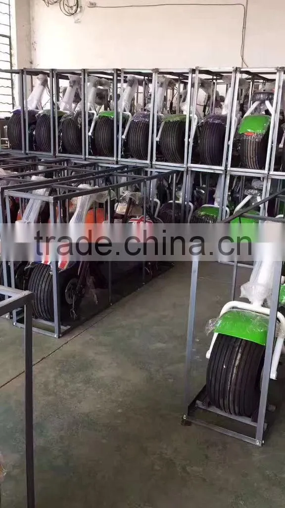 Manufacture factory! Harley electric bike, city scooter, city coco,scooter,bike,electric scooter