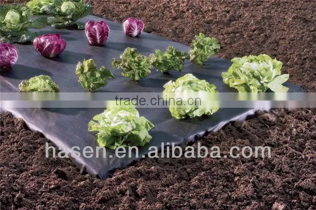pp spunbonded nonwoven fabric for weed control