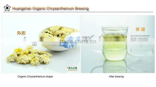 Herbal tea, Organic Chrysanthemum tea, Flower tea
