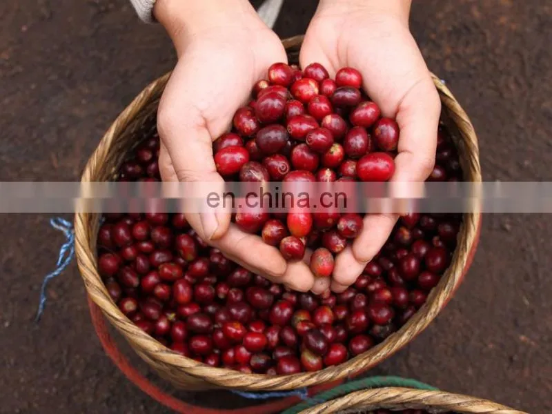 Coffee bean peeling machine in shellers/Cocoa Beans Peeling / PeelerMachine/coffee bean skin peeling machinery