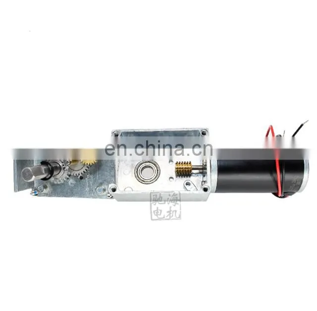 ChiHai Motor CHW4058-3162 High Precision DC 24V 12V Worm Gear Box Reduction Electric Motor Double Shaft Gear Motor