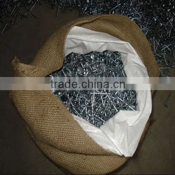 galvanized roofing nails from Anping Tianyue