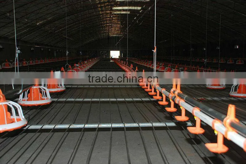 chicken feeders of the poultry equipment
