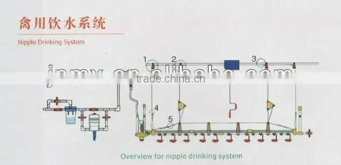 new design automatic mechanized poultry nipple drinking line for broiler breeder layer chickens