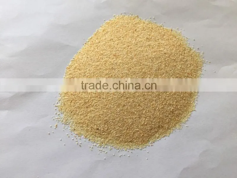 HACCP /ISO/FDA Approved High Quality Dehydrated Garlic powder for USA/EU market