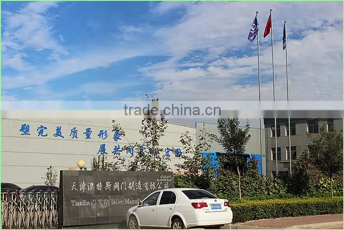 CV-DS014 stainless steel wafer swing check valve dn100