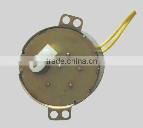 Synchronous motor (CE/VDE ROHS)