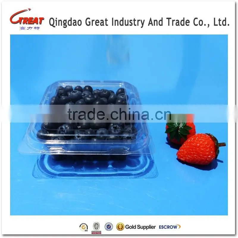 Small Square Clear Plastic Blueberry Container Clamshell