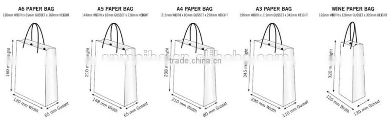 Paper Suit Bag