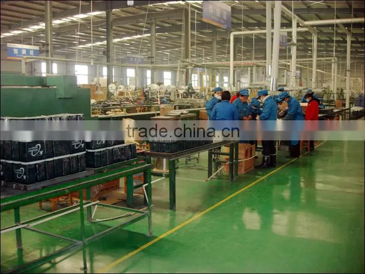 12V120Ah (6-EVFJ-120) EV Colloid Battery