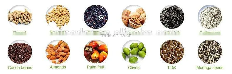 Energy saving sunflower oil refinery/ Oil Extraction Machine/palm oil refinery plant