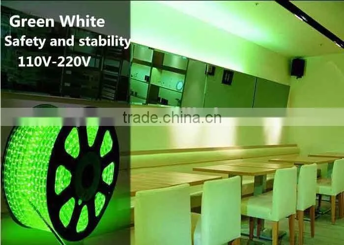 High Quality Outdoor Wall Lighting AC110-230V Strip Light Flexible Rope Light