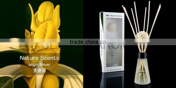 Nature Scents 80ml Natural Diffuser Gift Set & for hotel