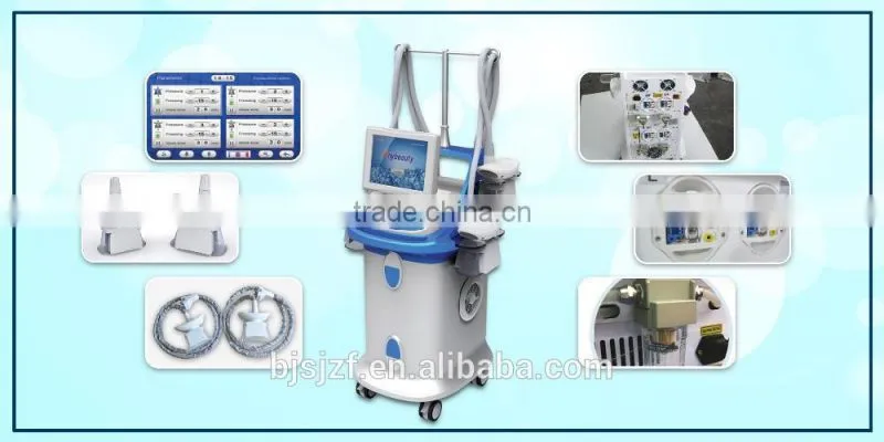 SL-4 Anybeauty 4 Cryo handpiece salon clinic home cryolipolysis body slimming machine