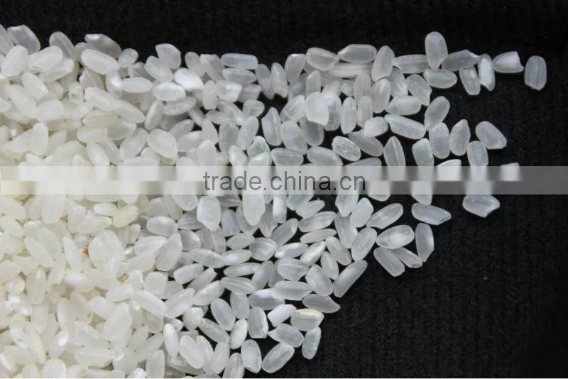 PREMIUM-QUALITY SUSHI RICE/JAPONICA RICE