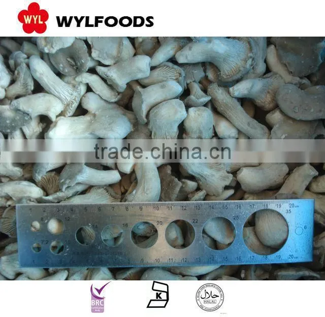 new crop Frozen baby oyster mushroom 2015 good quality best prices from China