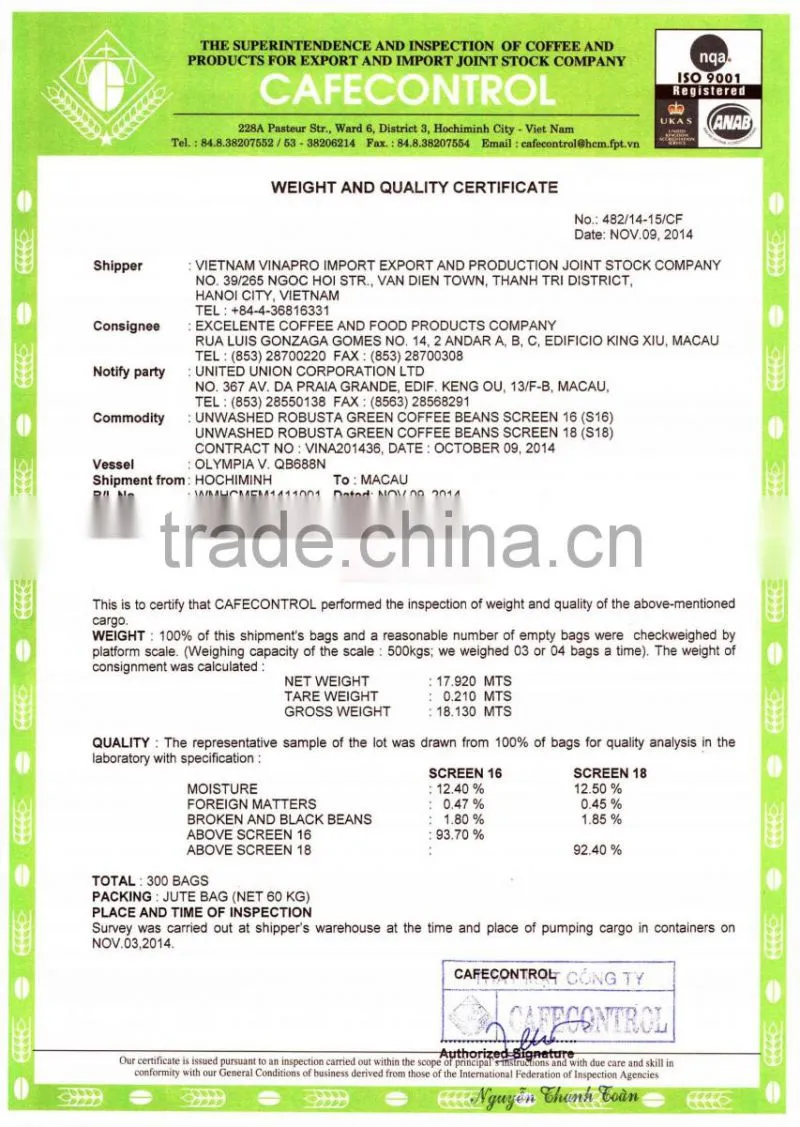 Wet polished robusta green coffee beans S16