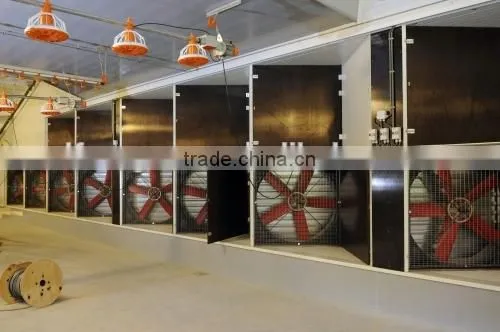 Poultry fan/broiler breeder house fan/chicken fan/egg fan/cone fan/chicken farm
