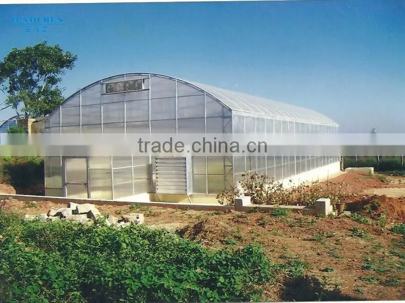 100mm Pvc Plastic Film Covered Tunnel Greenhouse For Private Agicultural planting