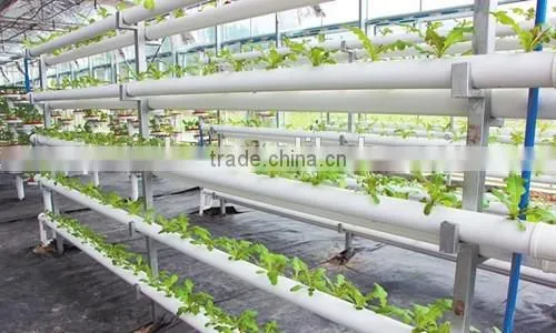 Portable pipeline hydroponic system