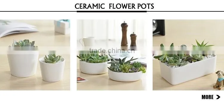 Wholesale succulent ceramic plant pots colorful plastic wholesale flower pots