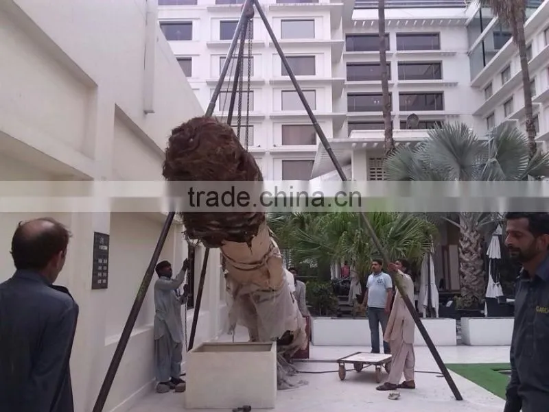 Outdoor use artificial huge middle east palm tree