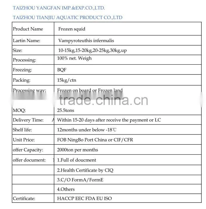 Frozen squid ( sleeve-fish ) whole round loligo squid fresh squid for sale