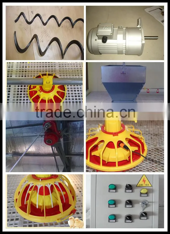 2015 hot sale Philippines poultry feeding line
