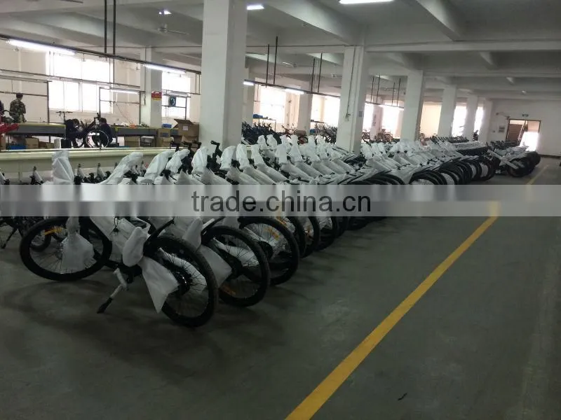 Seagull GL -2014 smart lithium ion battery electric bike/padel assist, throttle for option