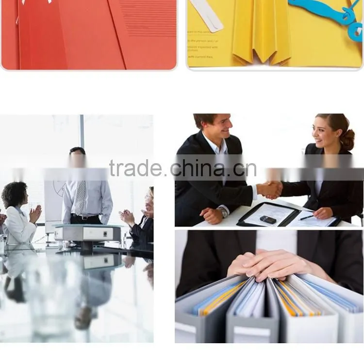 Custom design Patient record files case note folder