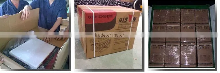 BISON(CHINA) BS390 honda engine sale