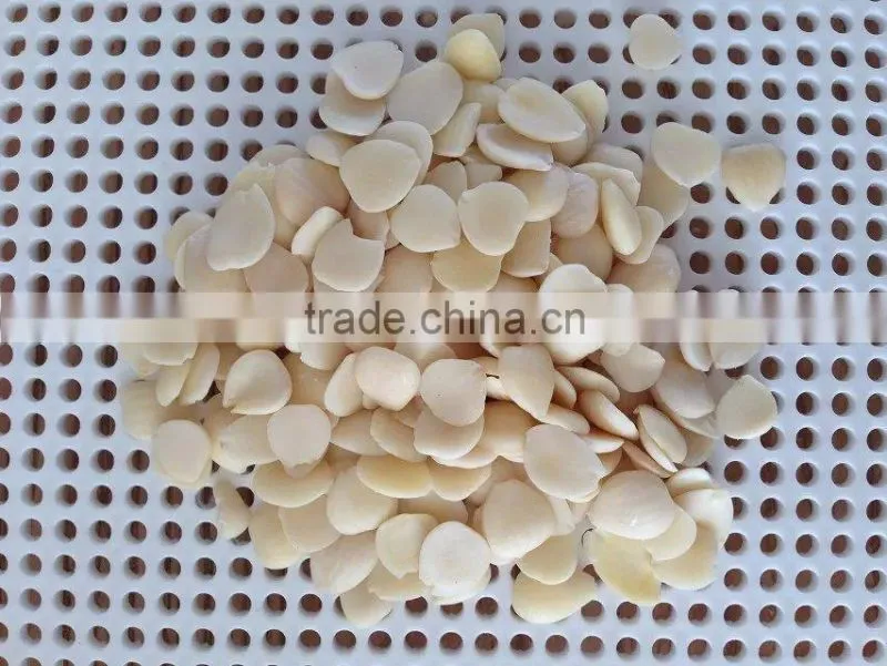 Chinese Guangzhong Blanched Apricot Kernels Flakes