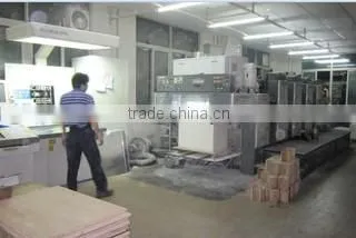 Guangzhou Lixiang Printing&Packaging Co., Ltd. company overview - view 1