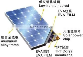 60w Poly Solar Module
