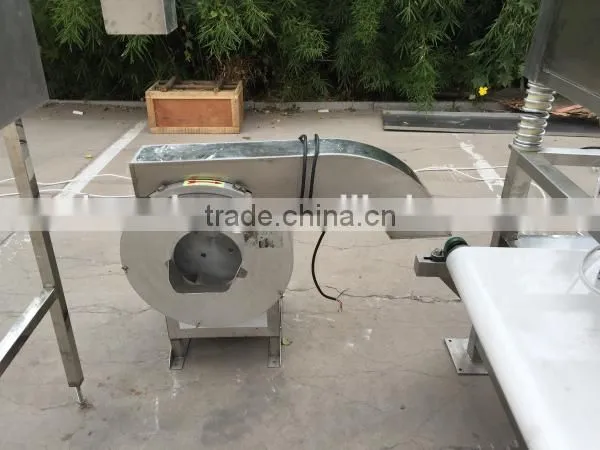 full automatic production line for frozen french fries