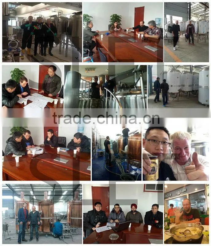 Medium size 500l micro brewery equipment small beer brewery equipment for sale