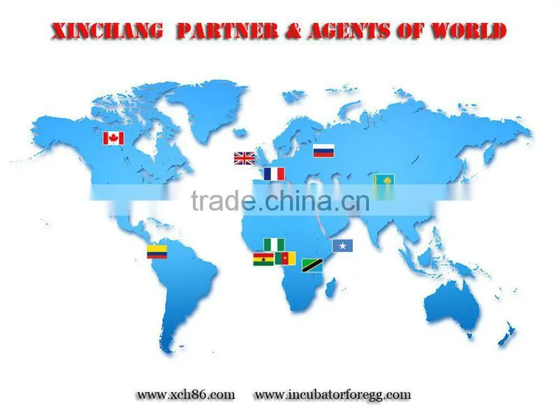 Hot selling polycrystalline solar panels from china