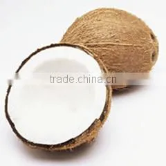 TTN freeze dried fruit juice powder prices of desiccated coconut powder