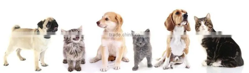 CE, ISO apprroved portable veterinary ultrasound machines for sale