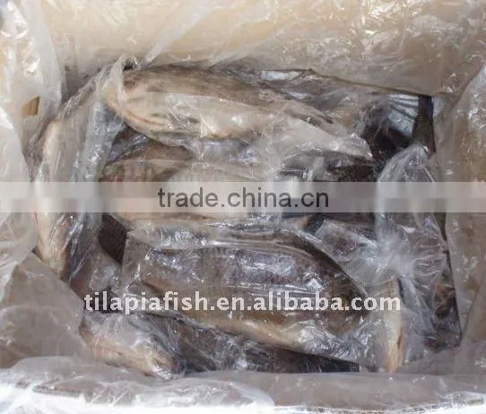 Best Bream Frozen Gutted Scaled Tilapia