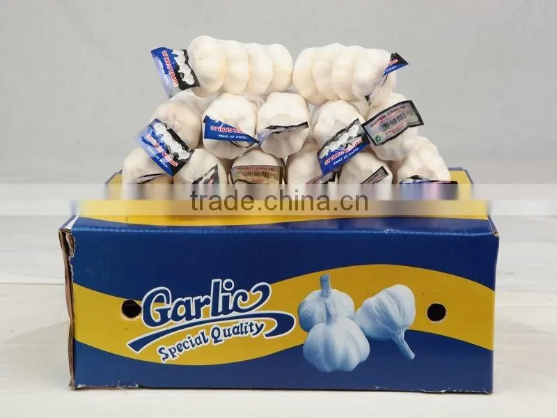 Laiwu 5.5 natural white fresh garlic