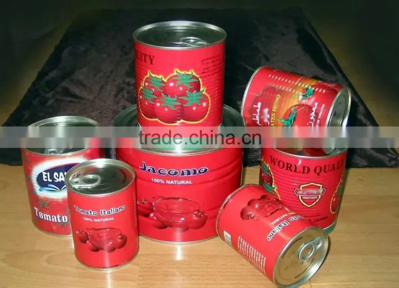 wholesale double concentrated canned tin gino 28-30% tomato paste pasta factory supplier exporter