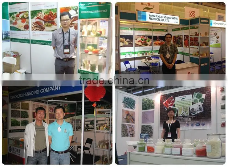 Creative products ad garlic granule top selling products in alibaba