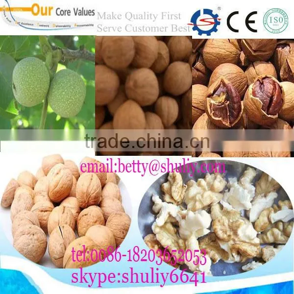 best quality fresh walnut washing and peeling machine/walnut thresher
