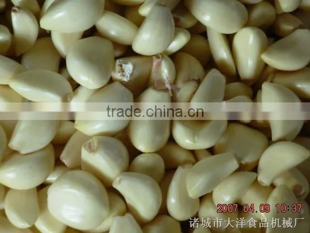 garlic dry peeler