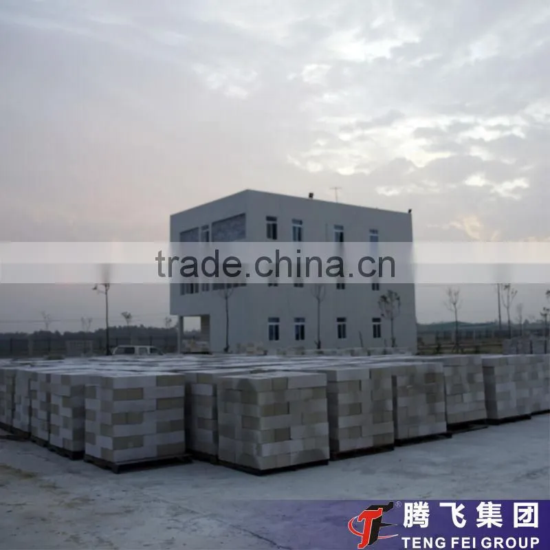 Professional production-Henan Teng Fei150,000m3 aac brick