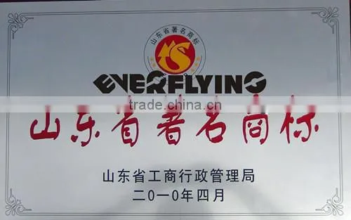 Everflying farm high pressure 3 inch irrigation hose Extrusion Machine